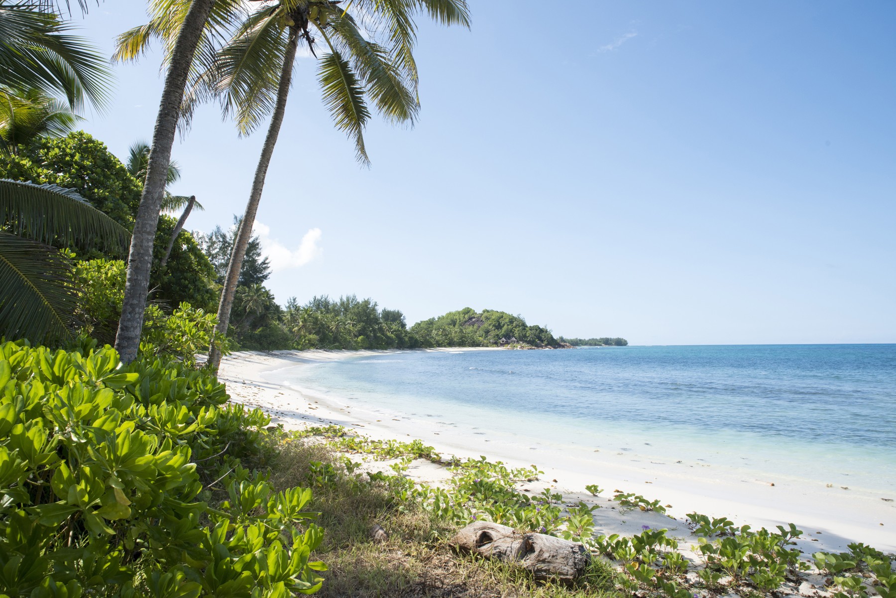 Constance Lemuria Seychelles